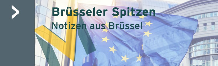 2.Bruessseler Spitzen.jpg