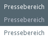 Pressebereich