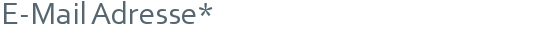E-Mail Adresse*
