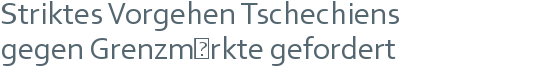 Striktes Vorgehen Tschechiens | gegen Grenzmärkte gefordert 