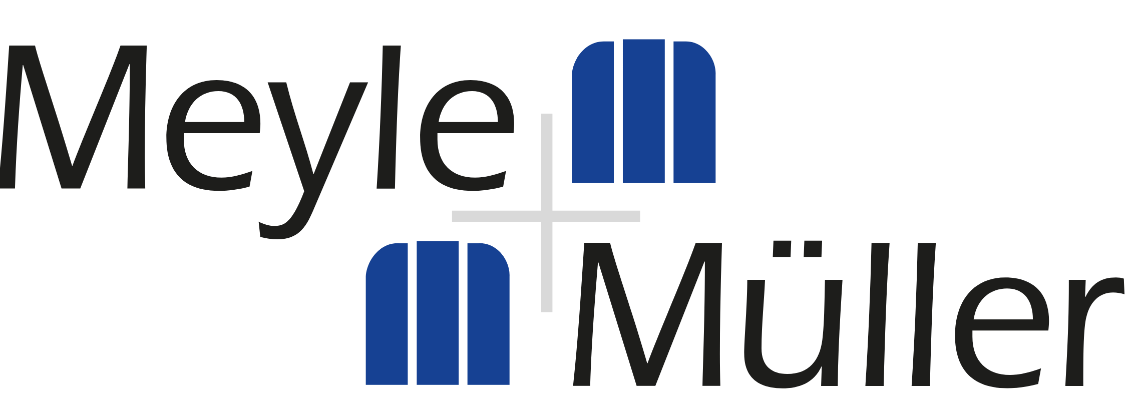 Logo_MeyleMller.png